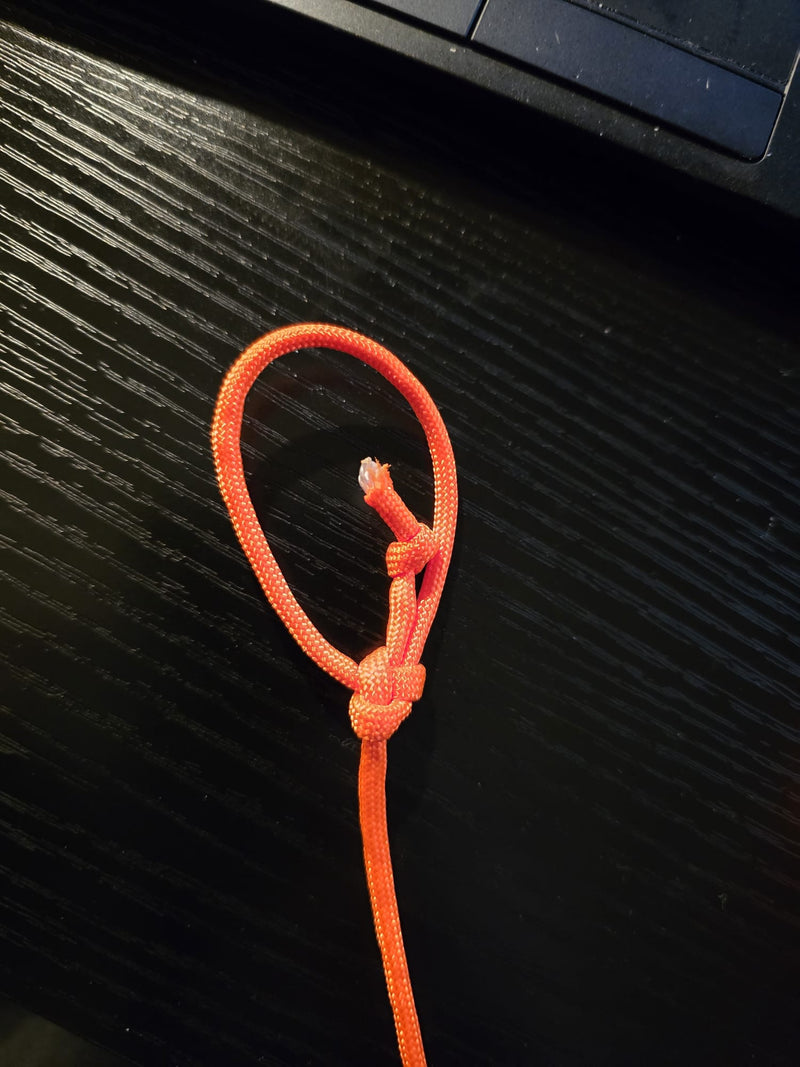 &nbsp;Type III 550 Paracord – Strong, Versatile Nylon Cord | 100&